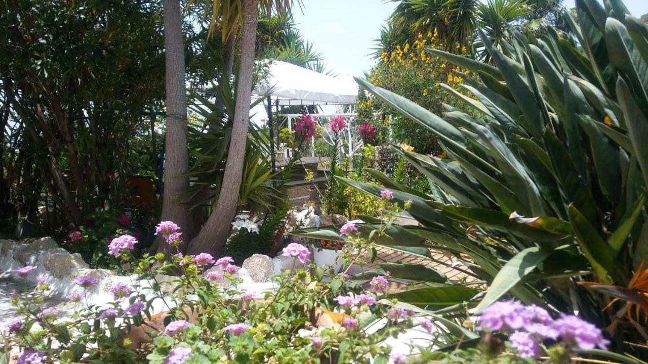 Finca Dulce Granadilla De Abona Exteriér fotografie