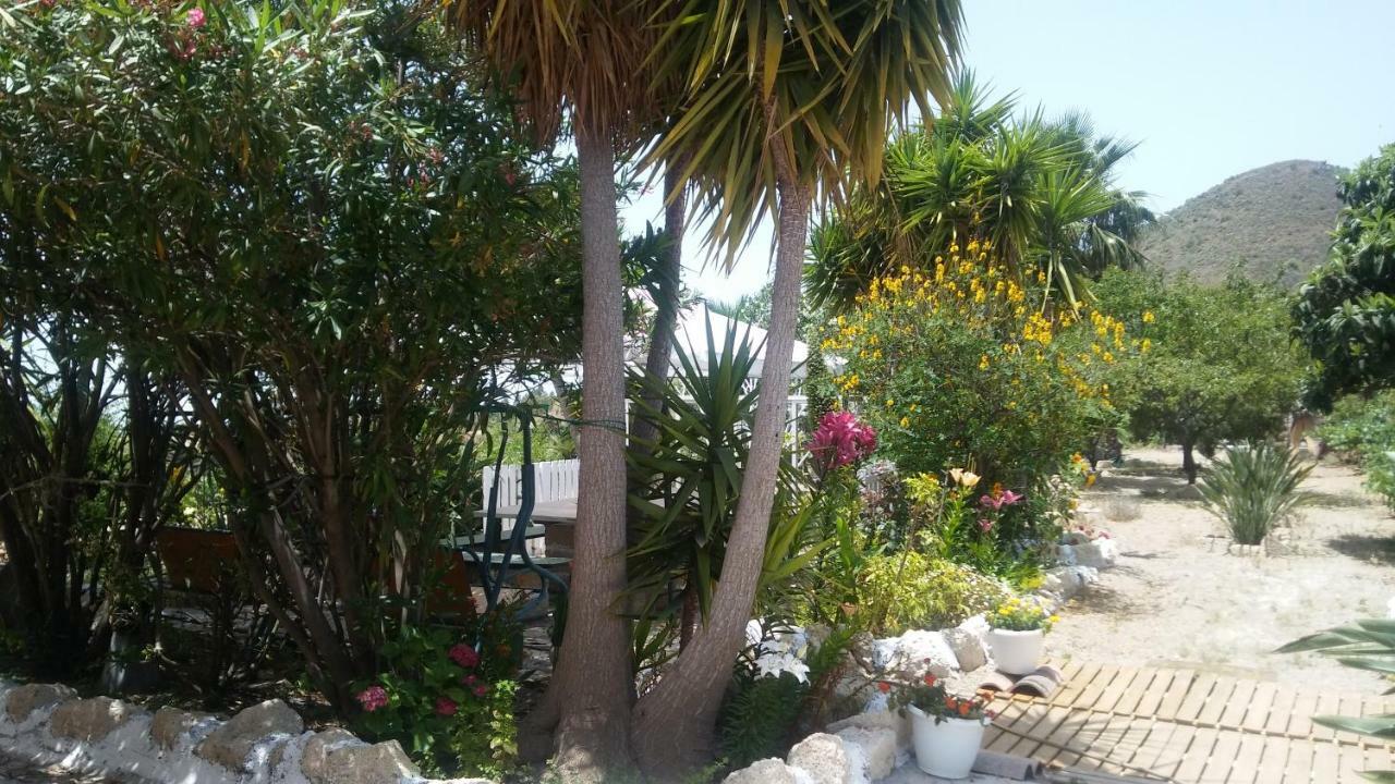 Finca Dulce Granadilla De Abona Exteriér fotografie