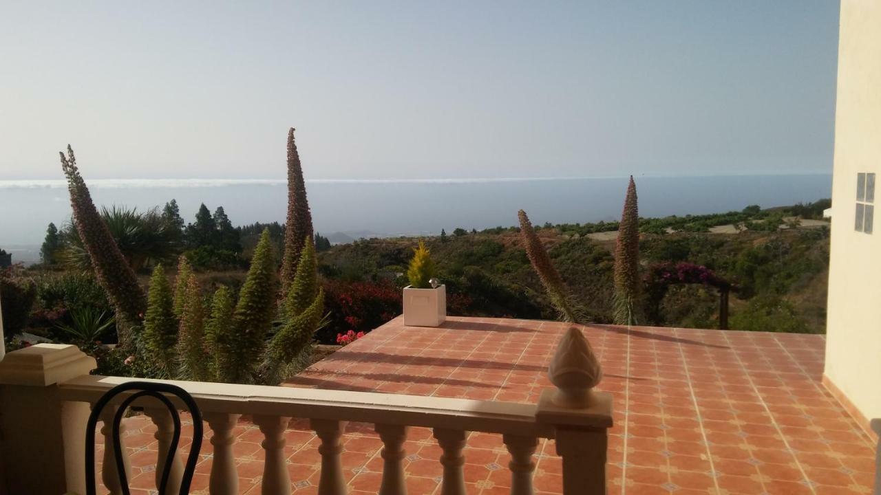 Finca Dulce Granadilla De Abona Exteriér fotografie