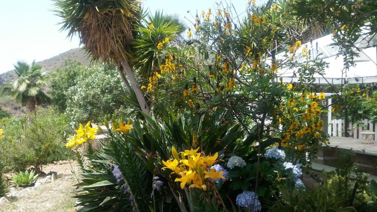 Finca Dulce Granadilla De Abona Exteriér fotografie